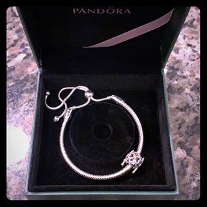 Adjustable Pandora Bracelet & Charm